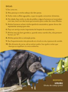 Carta do urubu-de-cabeça-preta