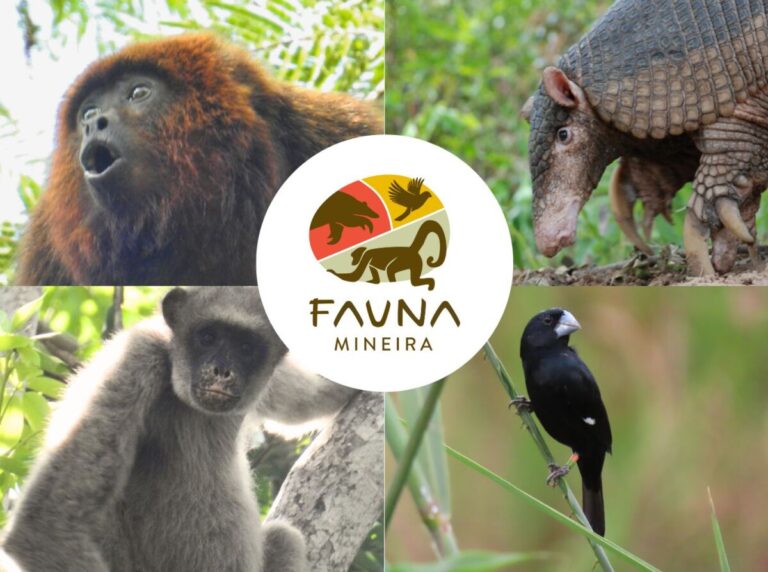 Projeto Fauna Mineira: um esforço coletivo pela conservação da ...