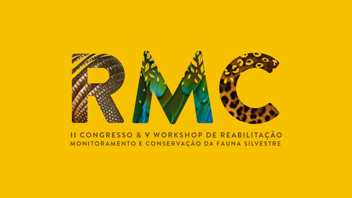 RMC2026